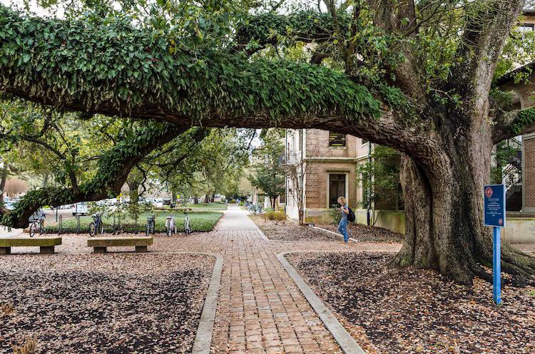 Louisiana State University— Baton Rouge, LA