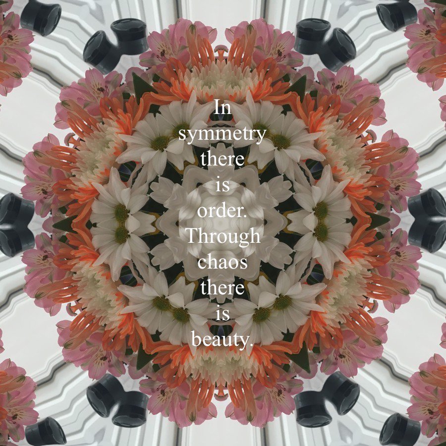 JThompson0516's tweet photo. In symmetry there is order. Through chaos there is beauty. @eng304cripps @ds106dc #tdc2340 #flowers #kaleidoscope https://t.co/cV4gnDn1HL
