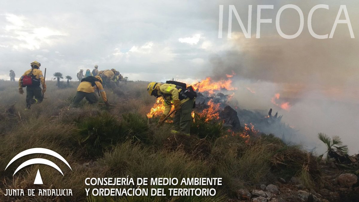 Plan_INFOCA's tweet photo. ACTUALIZAMOS | #IFNíjar. Ampliación de medios, trabajan: 67 #bomberosforestales, 3 #TOP, 3 #AAMM, 1 #UMIF, 6 vehículos todoterreno y 4 aéreos (3 helicos y 1 avión de carga en tierra). Imagen de compañeros trabajando en una zona de orografía complicada y con presencia de viento https://t.co/QfFJop3Hjd