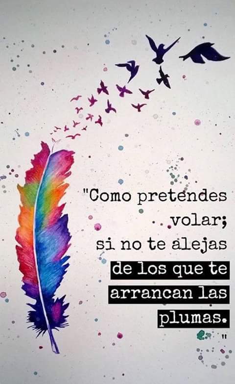 michel cardozo (@michel_yoha) on Twitter photo 