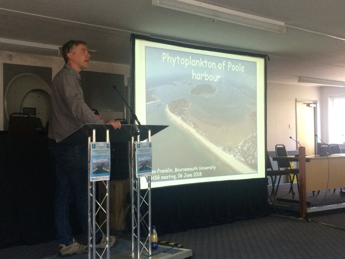 Dr Alice Hall tweet media