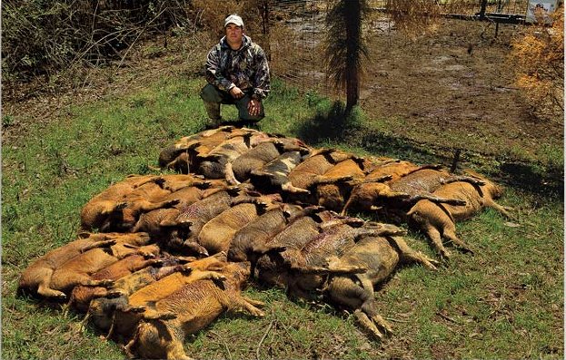 HuntingMag's tweet photo. We help educate hunters how to successfully implement a productive solution to the feral pig problem: https://t.co/hDCQ7HVF05 | #PetersensHunting #HuntingMag #Hunting #FeralPig #HogHunting #PigHunting https://t.co/ZGnGkW0eh5