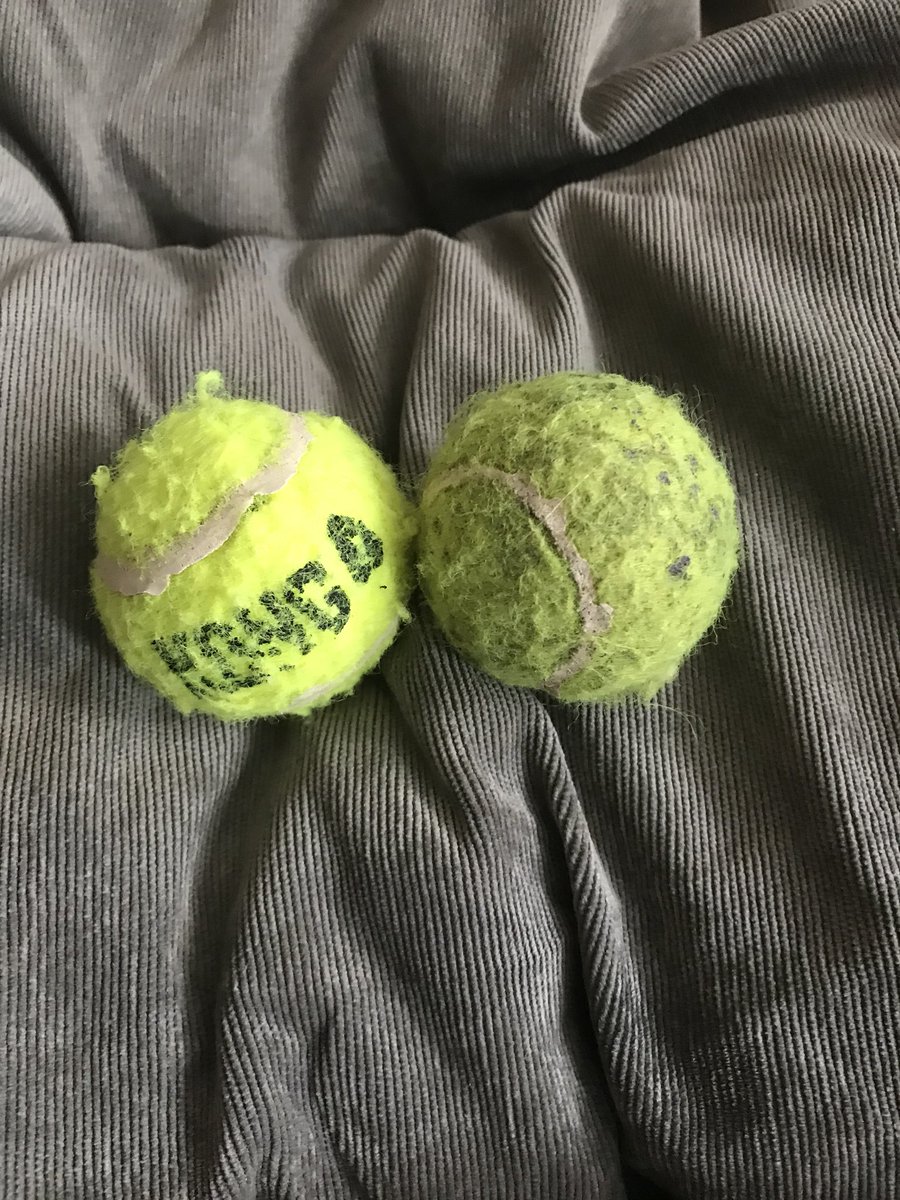 HalfPug's tweet photo. I sneaked one of my balls in to mums wash load, guess which it is? #badpup https://t.co/nn9uGf1NSR