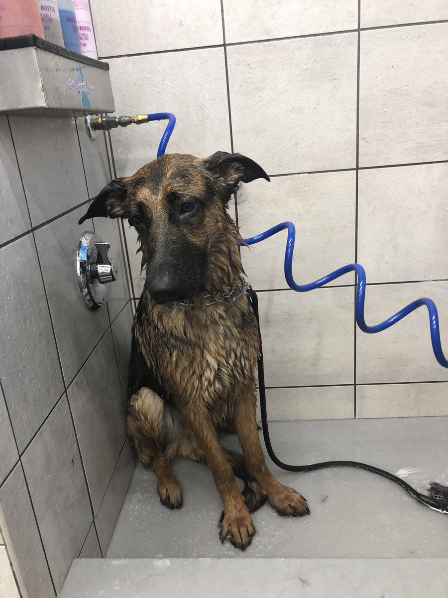 Why after a bath they say WITH EASY FER ... And what can I WISH BEFORE BATH Why after a bath they say WITH EASY FER ... And what can I WISH BEFORE BATH