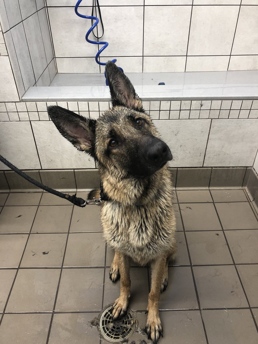 Why after a bath they say WITH EASY FER ... And what can I WISH BEFORE BATH Why after a bath they say WITH EASY FER ... And what can I WISH BEFORE BATH