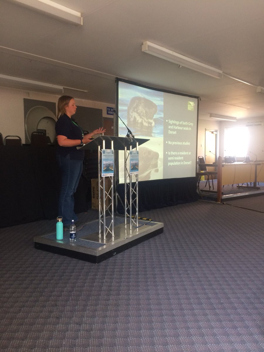 Dr Alice Hall tweet media