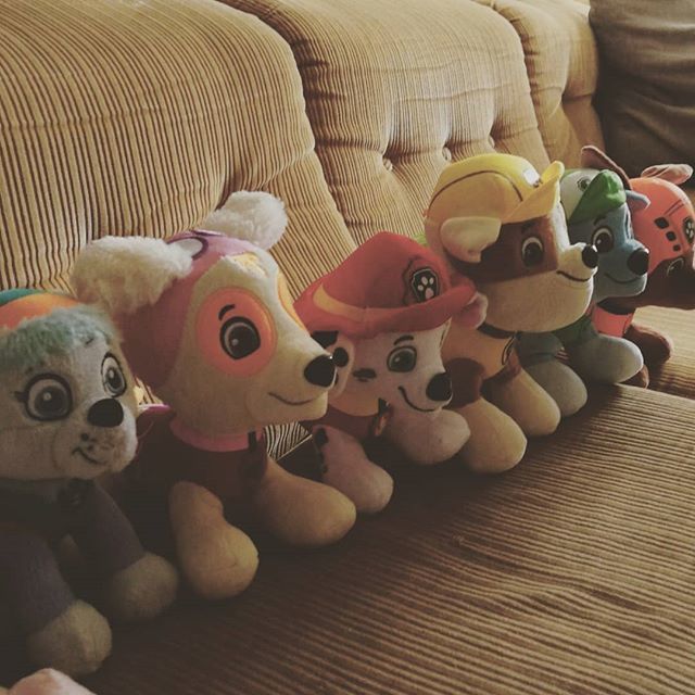 Pie_films's tweet photo. Sharing the couch with this crowd #mediadaddy #pawpatrol #bedtimehour https://t.co/GCkrNcshVI https://t.co/XexJR0nbhp