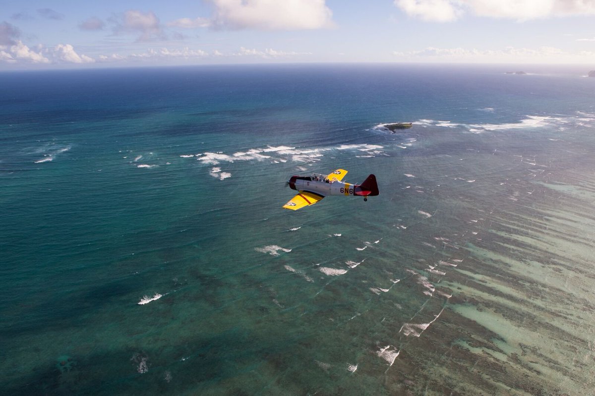 PearlHarborT6's tweet photo. Did you know? The Hawaiian #coral reefs extend up to 1,200 miles into the Pacific Ocean. 🌊🐚 https://t.co/pJDaKrApOs
