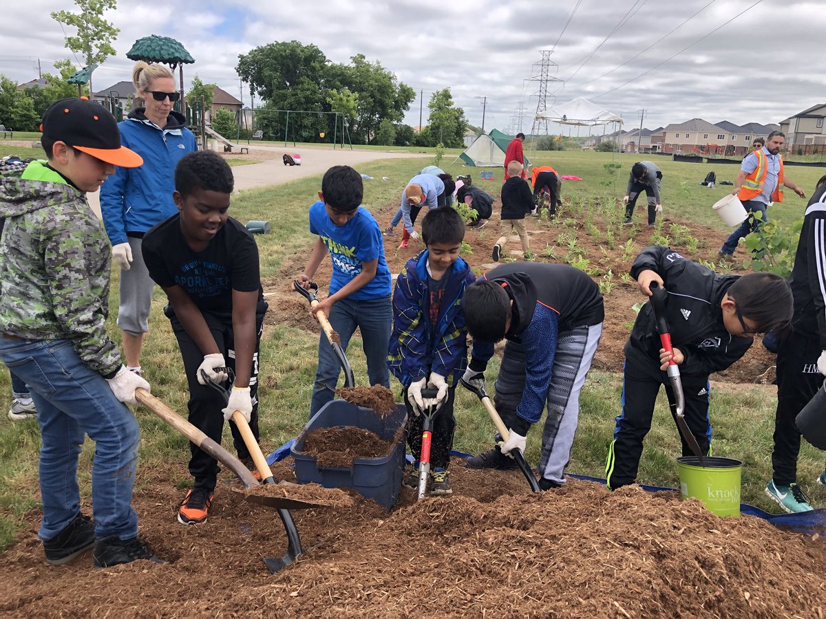 Mcleodsmusic's tweet photo. Wow! Yesterday the grade 2/3’s and 6’s put into action their bee inquiry! Amazing hard work everyone, you should be very proud! #pollinatorproject #grohballeaders @growrdsb @MrsCampbellGroh @grohjenjes https://t.co/SjZfI6aNsZ