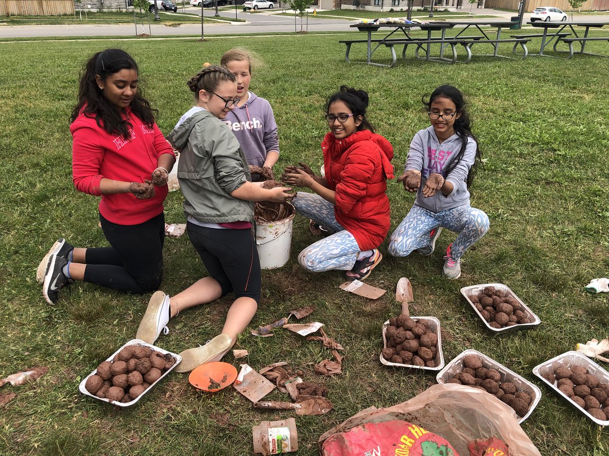 Mcleodsmusic's tweet photo. Wow! Yesterday the grade 2/3’s and 6’s put into action their bee inquiry! Amazing hard work everyone, you should be very proud! #pollinatorproject #grohballeaders @growrdsb @MrsCampbellGroh @grohjenjes https://t.co/SjZfI6aNsZ