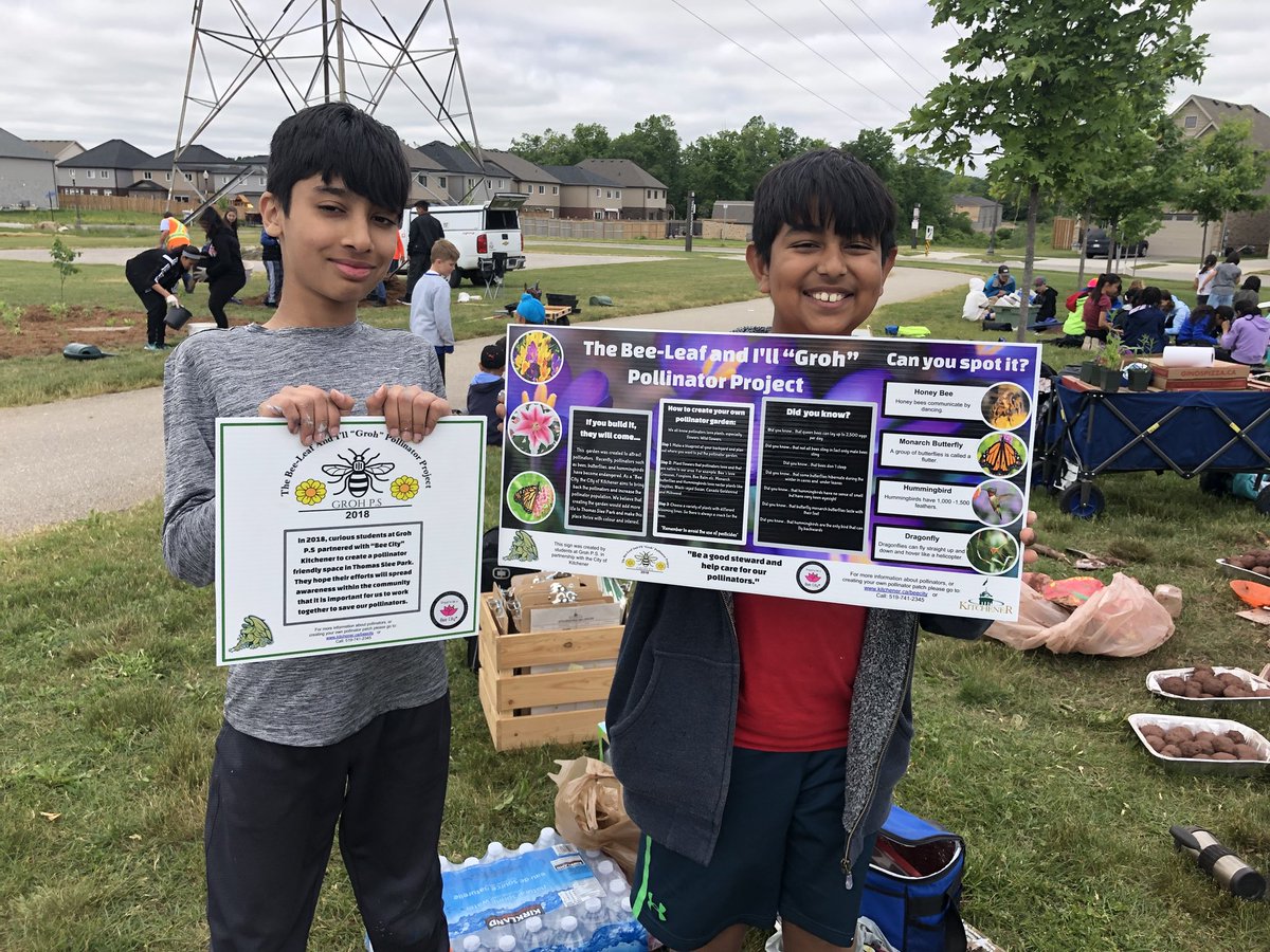 Mcleodsmusic's tweet photo. Wow! Yesterday the grade 2/3’s and 6’s put into action their bee inquiry! Amazing hard work everyone, you should be very proud! #pollinatorproject #grohballeaders @growrdsb @MrsCampbellGroh @grohjenjes https://t.co/SjZfI6aNsZ