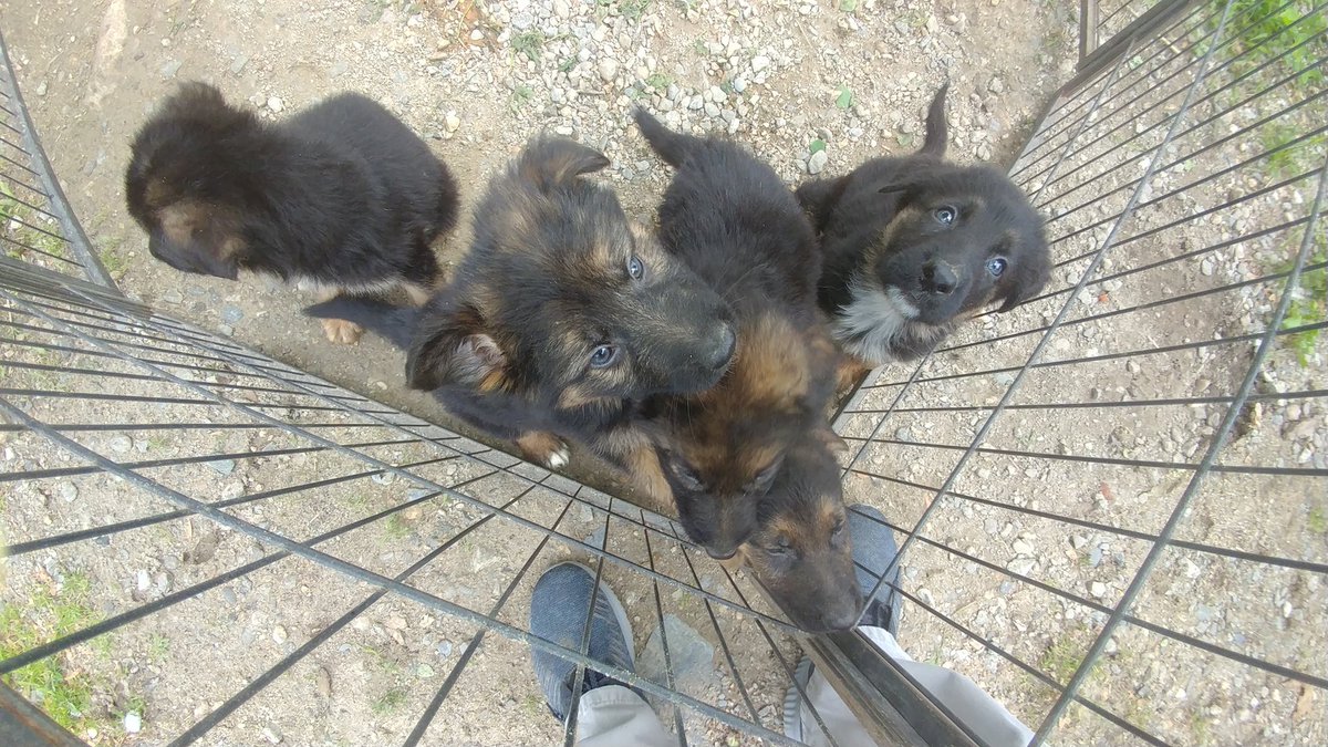 Mr.Walsh tweet media