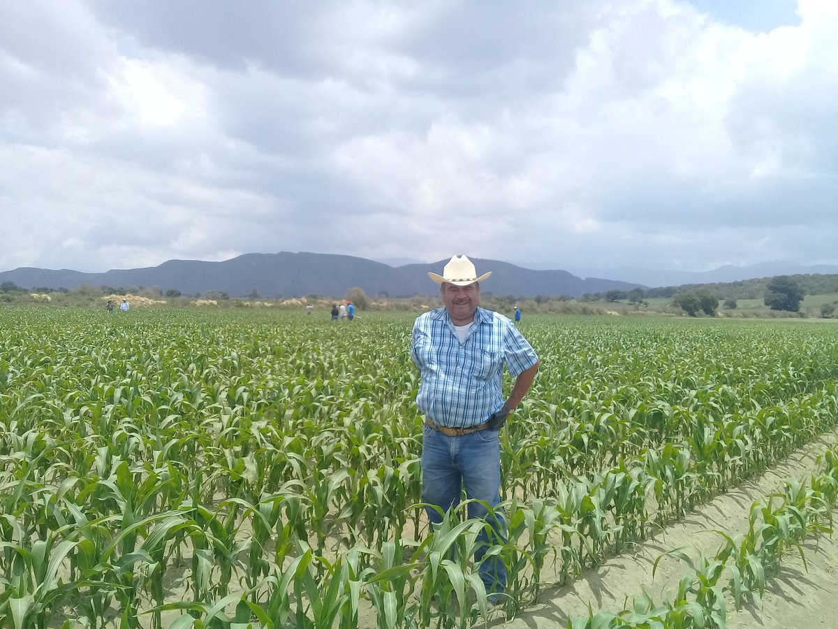 Fedebajio's tweet photo. #toma de muestra de Suelo en predios de la pp de San Miguel Tecuitla paraje cimatepec https://t.co/Y8frKoZIxE