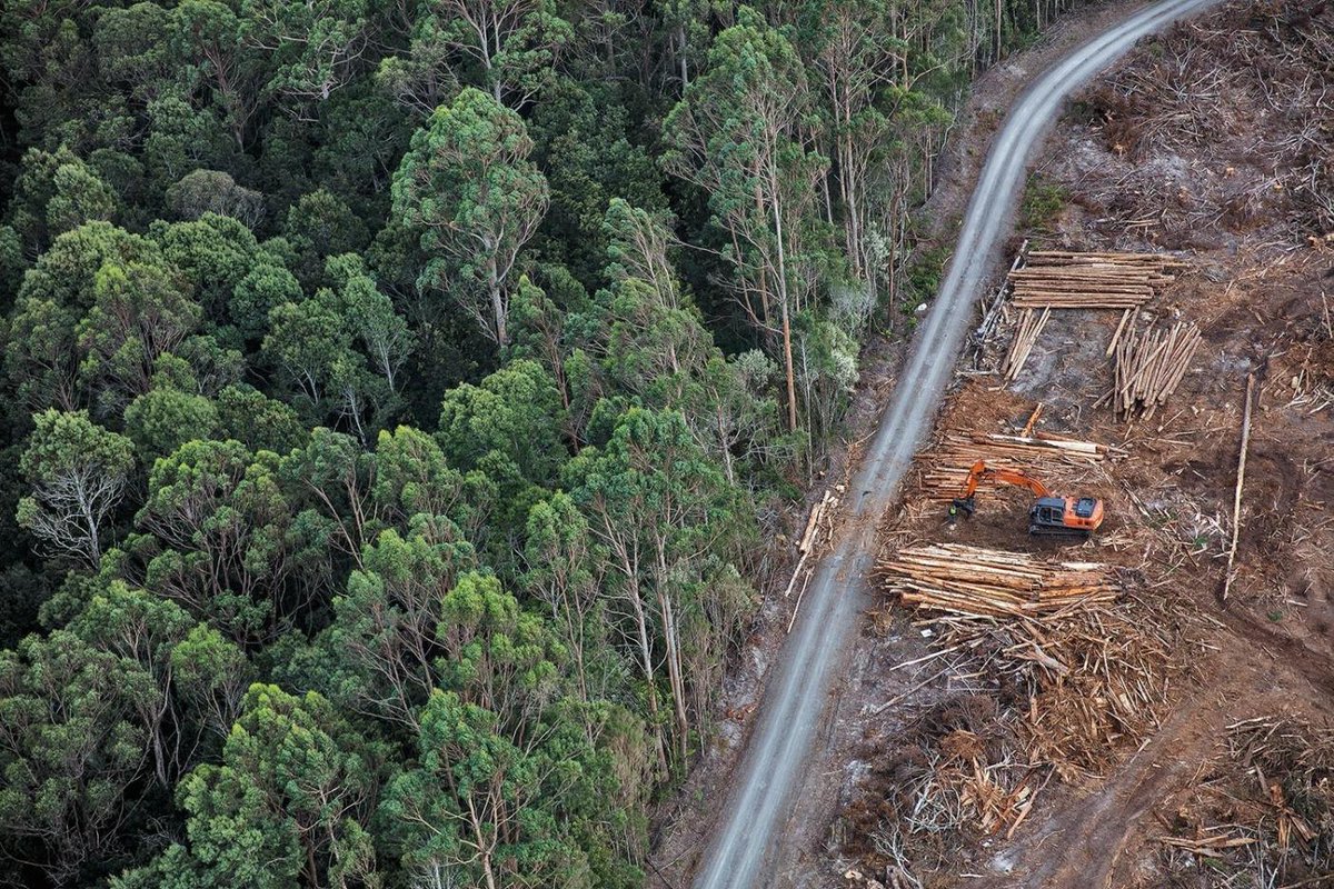 patagonia's tweet photo. There was no preamble. No warning. Forest and then nothing.
#Takayna: https://t.co/MQEWKWfPUn https://t.co/L5ThkpI7eZ