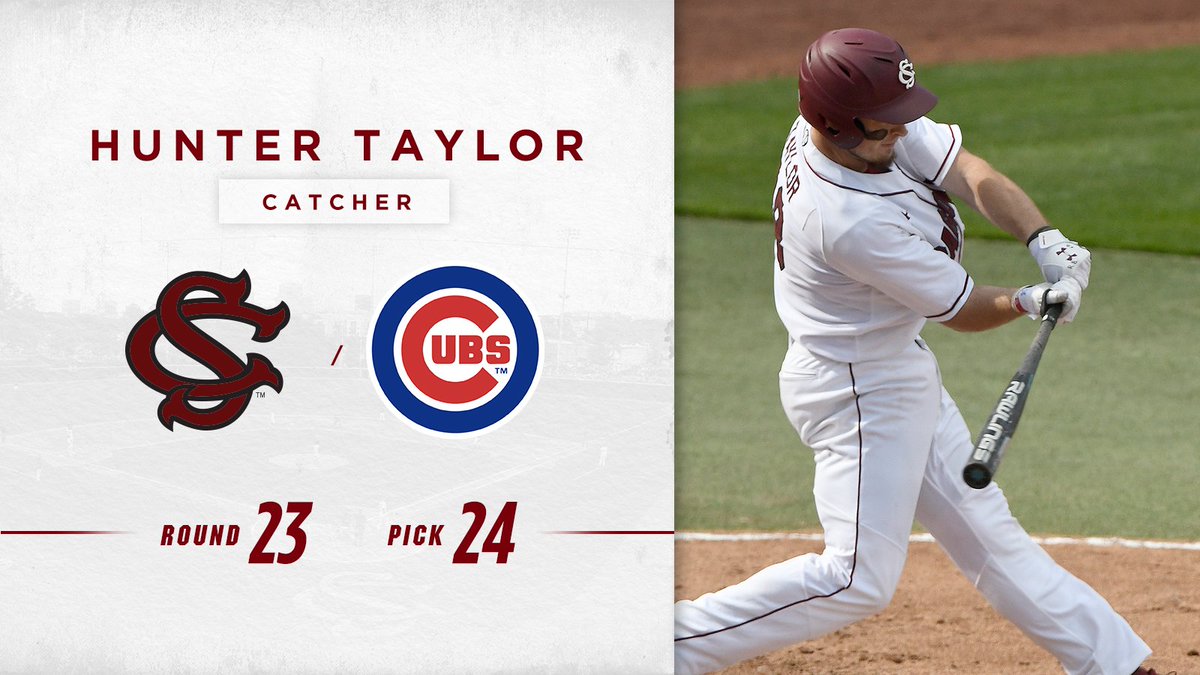 GamecockBSB's tweet photo. Congrats to @bigpine96, selected in the 23rd round by the @Cubs in the MLB Draft!! #Gamecocks https://t.co/Vc9JeiVYqI