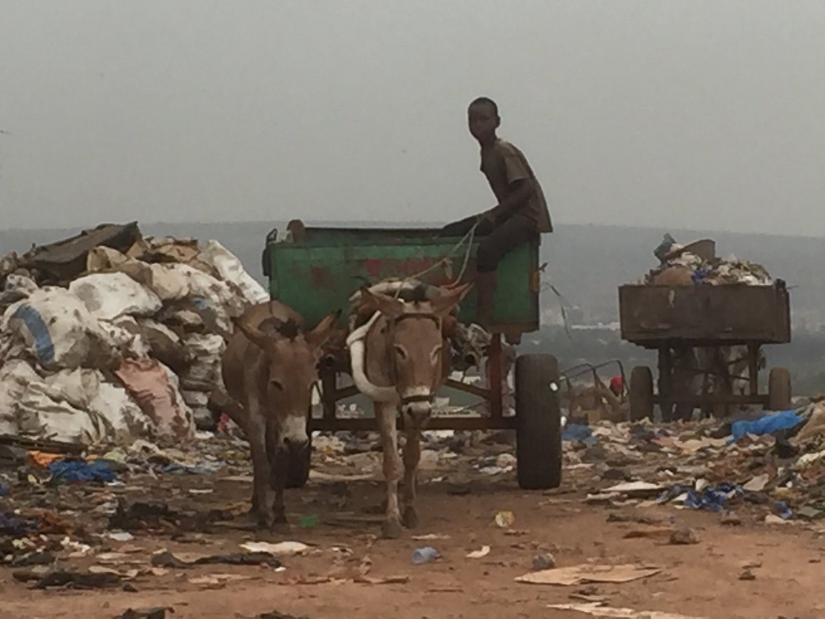 StephenAlbone's tweet photo. Today I saw this child and donkey working together on the rubbish dumps in Bamako, Mali. It just brings home to you why the work of @SPANAcharity to teach children kindness for animals is so important. https://t.co/Rw5VGlYFZM