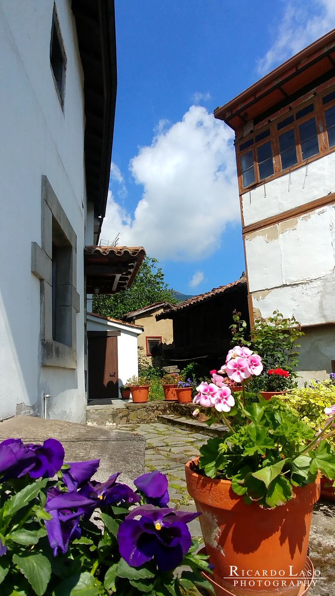 Ricardo_Laso's tweet photo. #ZUREA #LENA #ASTURIAS
Sí te presten, les semeyes, convídote a comentar, compartir y a visitar...
Sigue'l mio blogue d'Asturies en https://t.co/fFOL3K3rhO https://t.co/XwlbredXU3