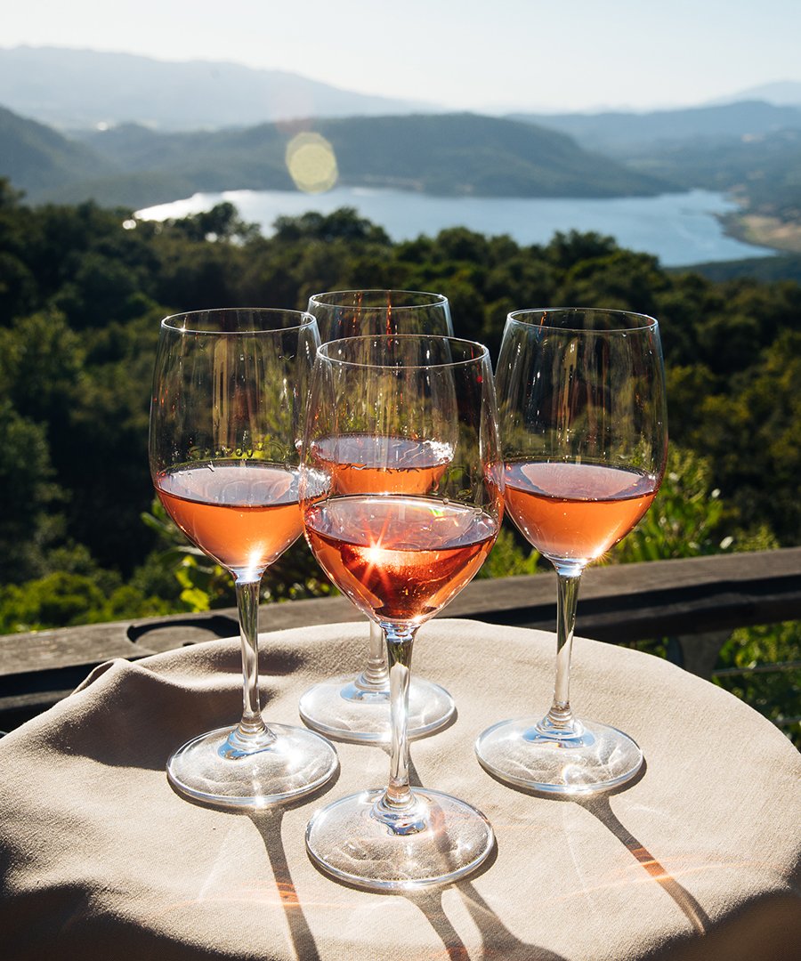 VGSPotelle's tweet photo. Nice article featuring @VGSPotelle and @AuctionNapa in @DuJourMedia
https://t.co/FE99SCcYat
#VGShappens #NapaValley https://t.co/MZDU4VTpd1