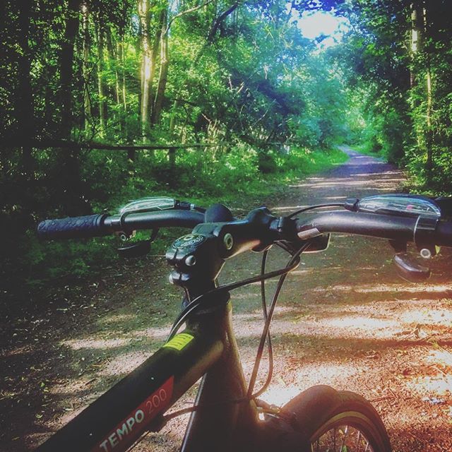 Cskoyles's tweet photo. βI wonder whatβs up there...β Always finding somewhere new to explore. π²π³π΄πΌββοΈβοΈ.
.
..
..
___________
#cycling #viewfrommyhandlebars #cyclinglife #cyclingsights #mtbike #mtblife #mountainbike #mountainbiking #outdoors #nature #adventure #notallwh⦠https://t.co/dAWom6eUK2 https://t.co/zcQAgwGfaO