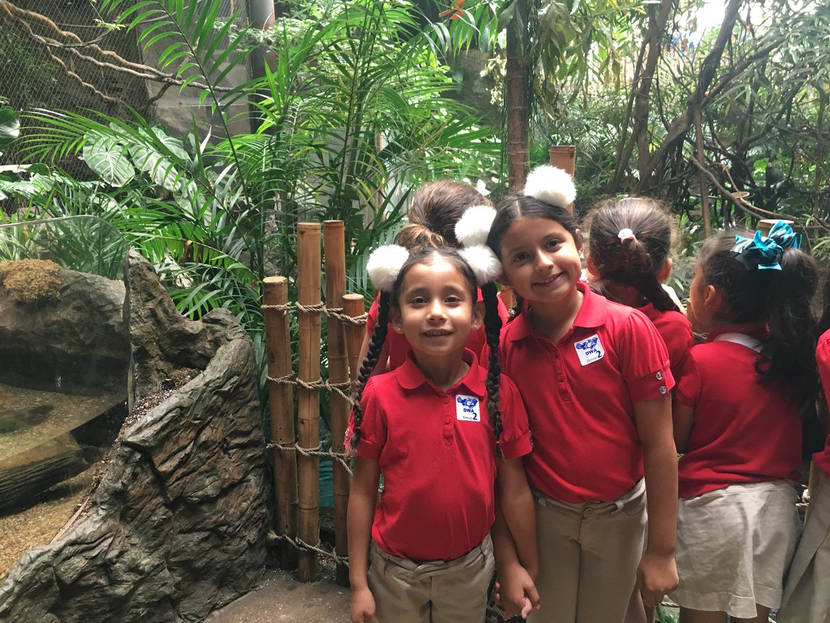 inroom116's tweet photo. Yesterday’s field trip to the @worldaquarium was so much fun! #msoctx https://t.co/neWyycNqsj