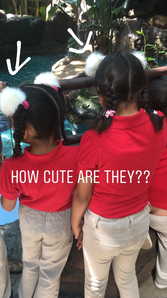 inroom116's tweet photo. Yesterday’s field trip to the @worldaquarium was so much fun! #msoctx https://t.co/VFtw4iZ4gH