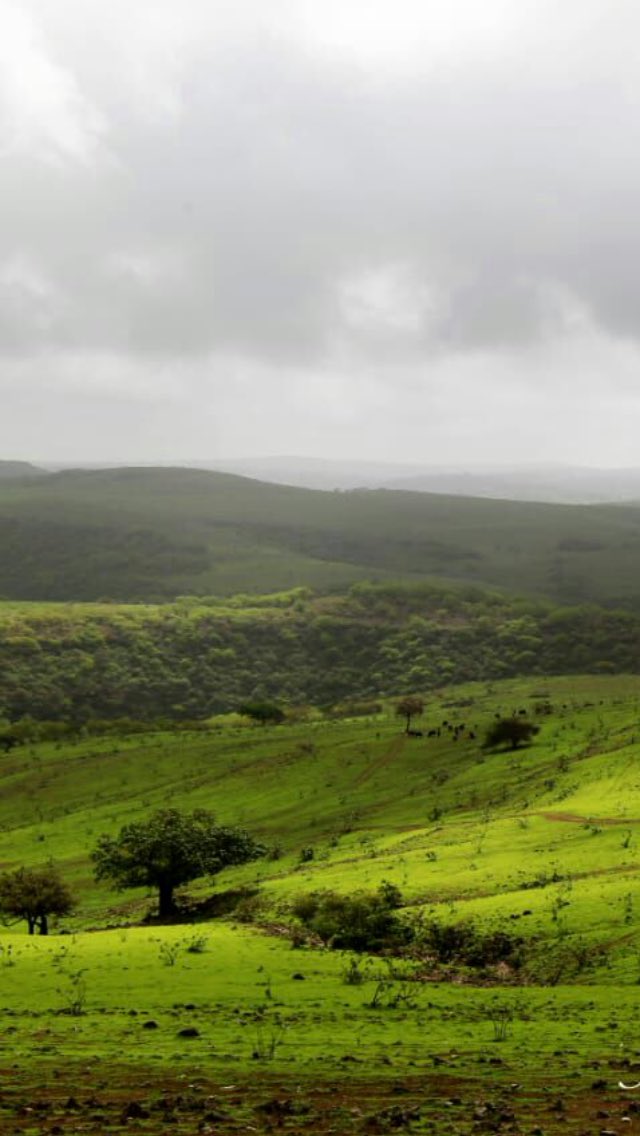 صلاله😍😍😍