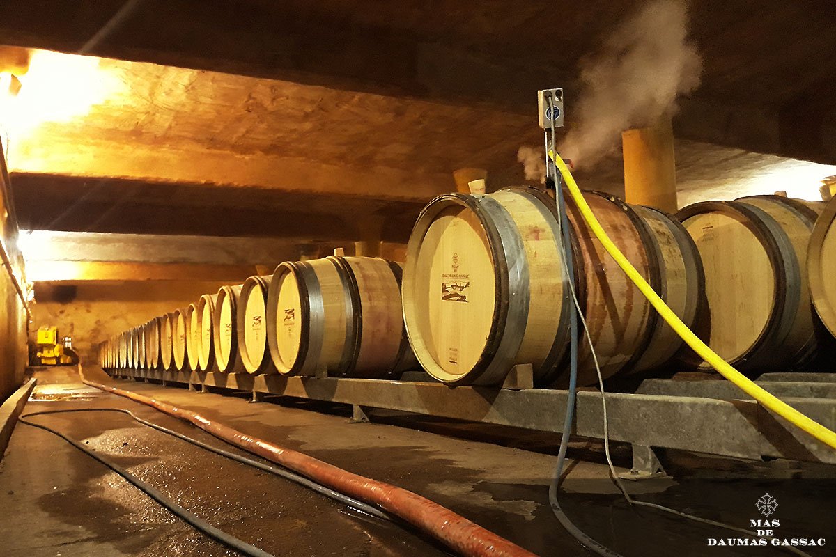 MasDaumasGassac's tweet photo. Mas de Daumas Gassac Rouge 2017 - Des notes de cassis s'échappent des #chais.. Nous avons surpris le Maître de Chai en plein #soutirage !
#Aromas of blackcurrants and plums are coming out of our #cellar.. The #Red2017 had our maître de Chai's full attention during the racking! https://t.co/vW8bQRAvax