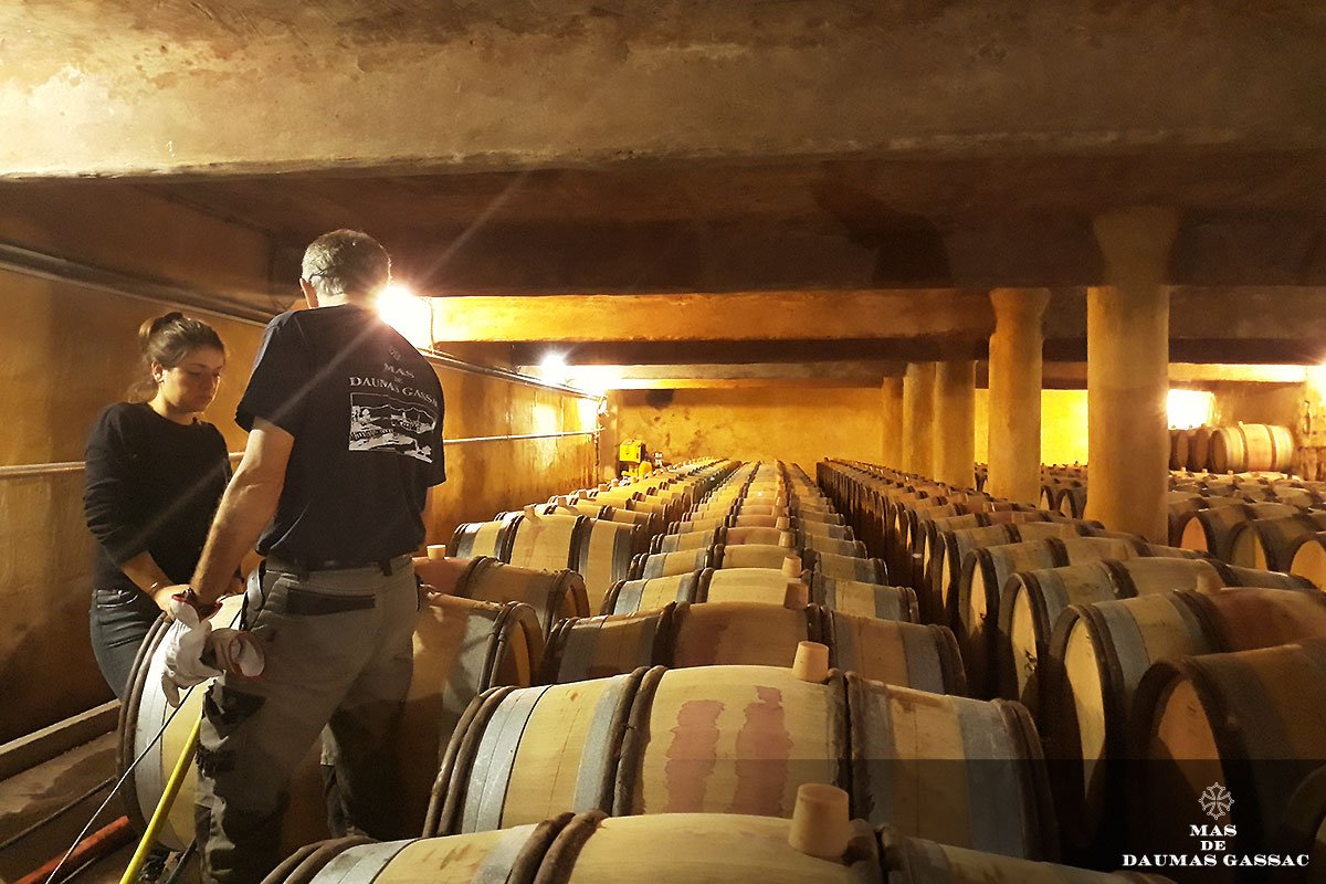 MasDaumasGassac's tweet photo. Mas de Daumas Gassac Rouge 2017 - Des notes de cassis s'échappent des #chais.. Nous avons surpris le Maître de Chai en plein #soutirage !
#Aromas of blackcurrants and plums are coming out of our #cellar.. The #Red2017 had our maître de Chai's full attention during the racking! https://t.co/vW8bQRAvax