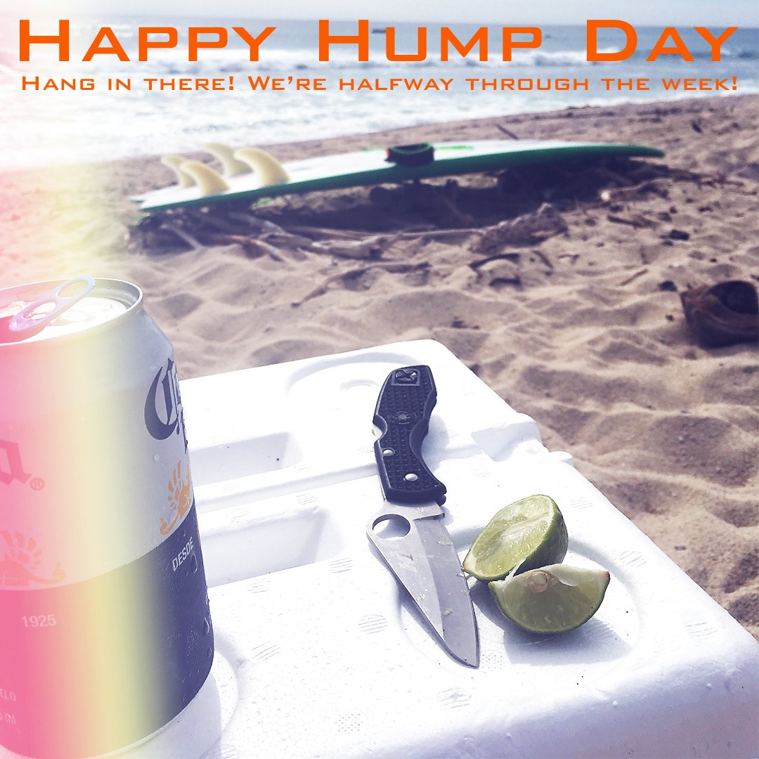 SpydercoKnives's tweet photo. #spyderco #happyhumpday #salt1 #neverrust https://t.co/MgpfOotMh8