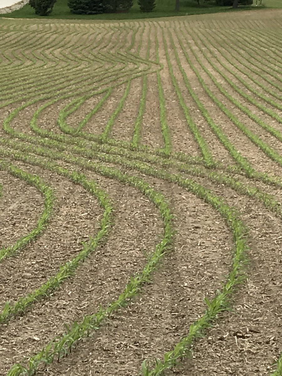 WielerLarry's tweet photo. Update - population 35,000 Speed 7 MPH Vaderstad Tempo Planter https://t.co/WekRGqwCOb