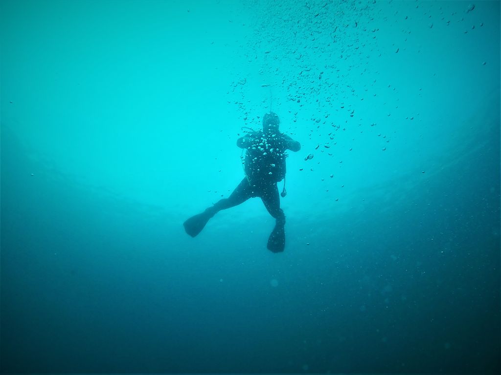 diving_seals's tweet photo. Life begins at the end of your comfort zone😉🌊
Start scubadiving now! @diving_seals📍
#sealsdivingcenter #scubadiving #diver #divingtime #scubalife #tryscubadiving #sea #freedome  #explorescubadiving #explore #picoftheday📷  #padi #visitgreece #Greece🇬🇷 https://t.co/WZ2bvzAtcQ