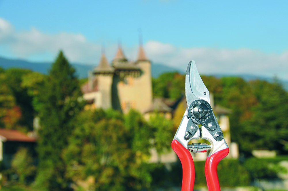 FELCO_tools's tweet photo. Follow FELCO on Instagram and share your daily pruning session with #MyFELCO 🌻 https://t.co/yeEPAGAoLW https://t.co/yx5lmy6KGr