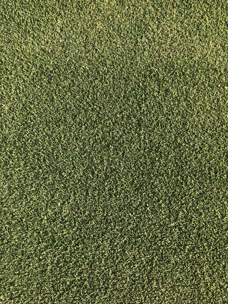 Really liking this Smithco roller