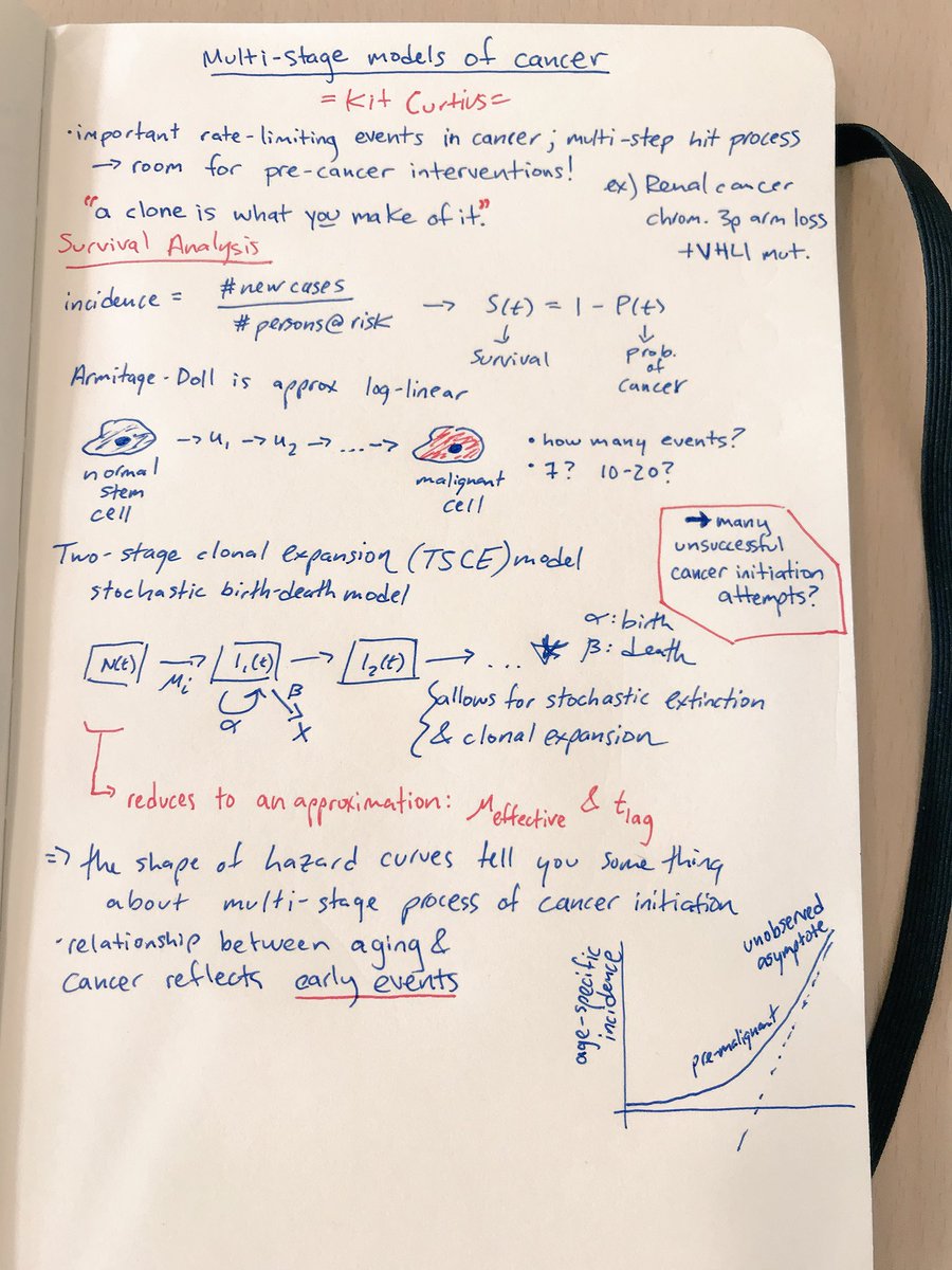 mathoncbro's tweet photo. Really fun and informative talks by @yosoykit and Yuan. Deciphering the tumor ecosystem from imaging data &amp; deep learning (left). Multi-stage models of cancer initiation and progression (right). #EBECancer18 https://t.co/SMG0dbKveh