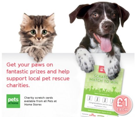 PAHLudlow's tweet photo. We're so excited to start our @AdoptionForPets 🌞Summer Fundraising 🌞 drive today! 
Scratch cards available to buy in store 👍 https://t.co/FDz5QNb43n