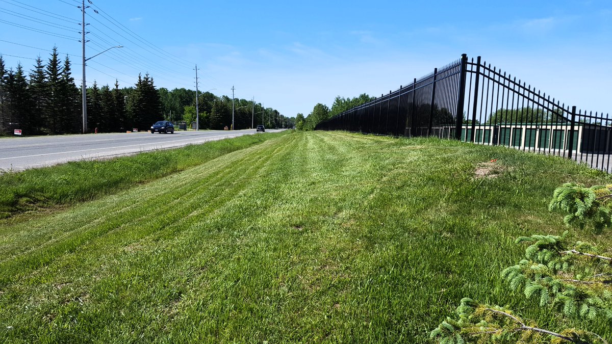 SelfSte's tweet photo. The green green grass of Vaultra. Neat and tidy 
#neatandtidy #cleanandgreen #summerstorage https://t.co/rCPhQkaZ1v