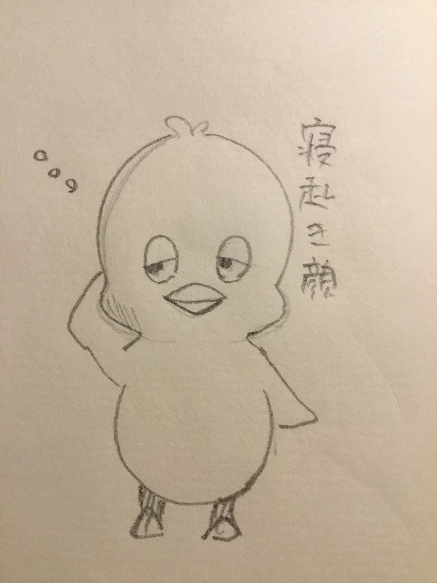 @pnpn_matsu うん、正面から見るとこう 