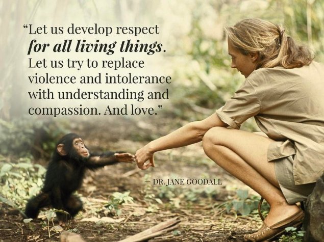 🌿#EmbraceHumanity🌿

We have the choice to use the gift of our life to make the world a better place--or not to bother. -Jane Goodall