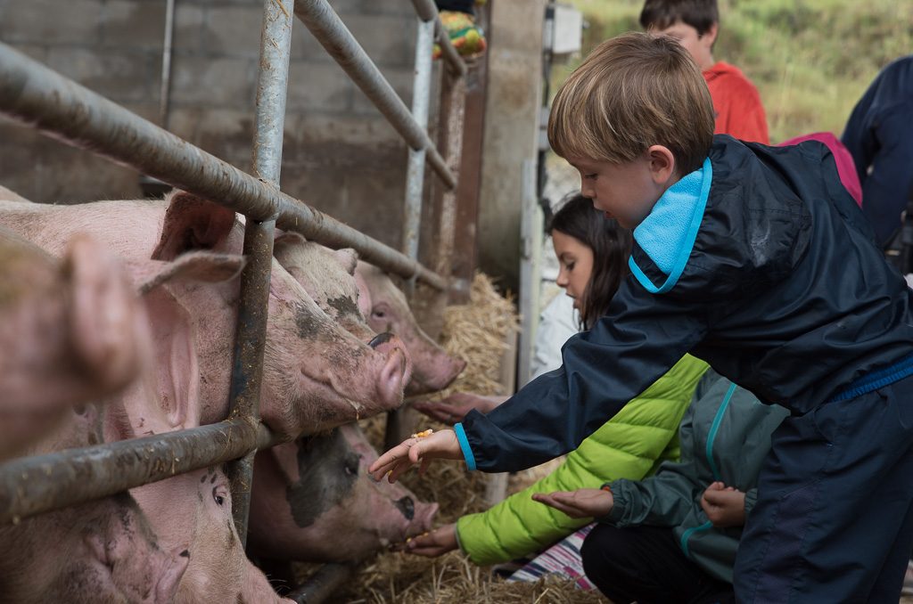 Buscant plans pel cap de setmana? No hi donis més voltes... 📝el 9 i 10 aprofita el #BenvingutsaPages18 i escull entre més de 900 activitats a granges, horts, masies, boscos, mar... 🐖🦆🐏🐎🐟🦐tot de la mà dels productors i elaboradors del nostre petit gran país! 🤗