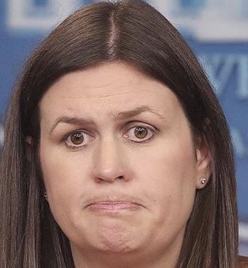 wuki 🌞 tweet media