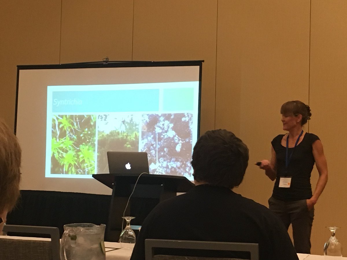 Bryophyter's tweet photo. iMOSS was a success! @mcdaniellab organized a conference full of exciting talks and posters, including topics like Antarctic mosses with @pdxmoss, bryo allopolyploidy with @mossMatters, and a few on desiccation in desert moss Syntrichia. Until next year! #moss2018 #imoss2018 https://t.co/faBkWIIOdl
