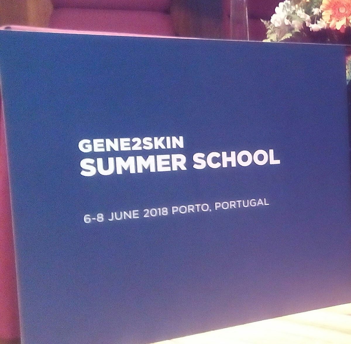 Marquette_chris's tweet photo. 3d.FAB presentation at #gene2skin summer school.
Thanks @RLGReis and Alexandra Marques for the invitation https://t.co/dSMnjUGD73