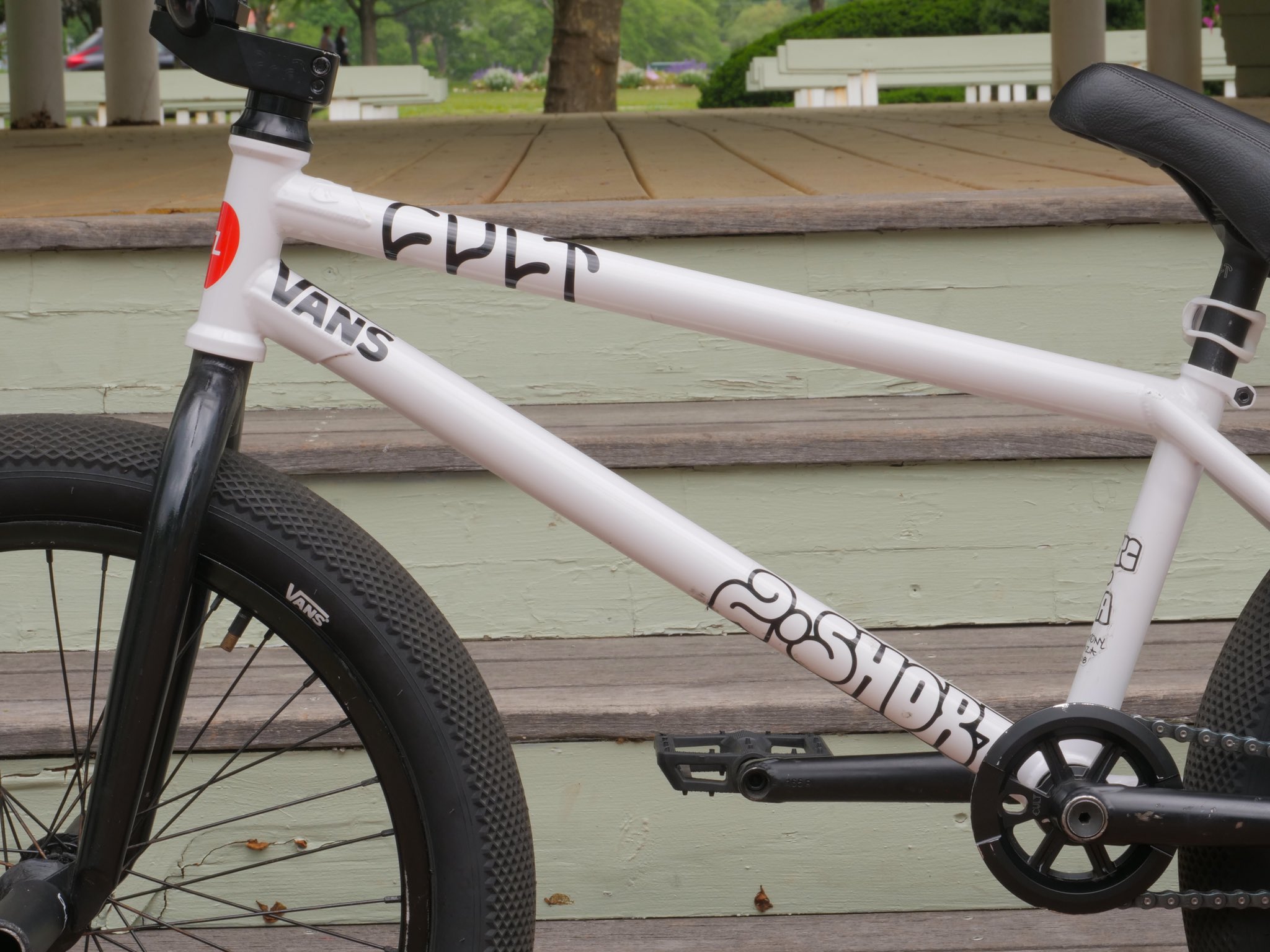 anthony panza cult frame