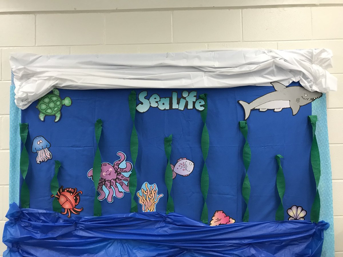 kim_kfischer120's tweet image. #VCSSeaLab Getting ready for Sea Lab!!! 🐙🐠🦈