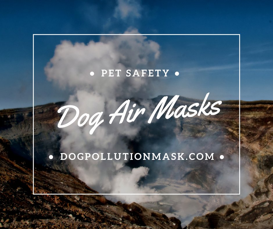 DogAirMask's tweet photo. Air Pollution affects you and your pets. Poor air quality for volcanic eruption, forest fire smoke, &amp; car exhaust all get into your lungs. Protect your pets. https://t.co/gRYx1XJpe8 #DogCare #DogLove #PetCare #PetLove #Protect #Pets #Pollution #Solution #NewProduct https://t.co/Z7FjKY24a2