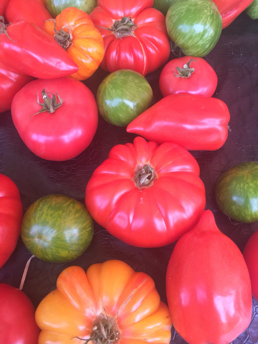 ccookeryschool's tweet photo. Tapas, wine, cocktails & live music by Chloë Anna this Friday! Candlelit tables inside and out #wine #tapas #bistro #makeityourlocal #southside #Cambridgeshire #local #organic #cocktails #outdoors https://t.co/BPFcnC9OCk