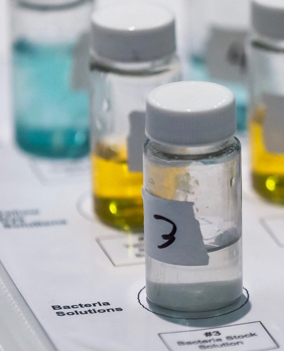 CDEfoundation's tweet image. Only three days of Early Bird registration left for #CASTEAM18, &quot;an outstanding professional growth experience.&quot; Register by Friday, June 8 to receive the Early Bird rate! Join us on Oct. 28-29 in Long Beach for the 2018 CA STEAM Symposium steamcalifornia.org #ngsschat