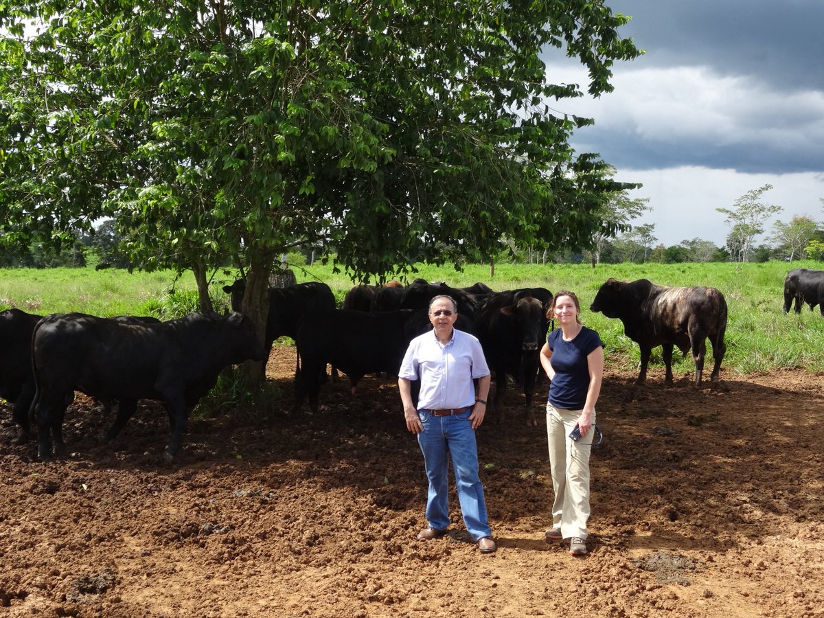 GDP_Center's tweet photo. Associate Director of #_LULI at the #GDPCenter and Assistant Professor @BUEarth @rach_garr published article in @IOPenvironment on tradeoffs for agricultural intensification in Brazil & direction for future agricultural and climate policy. For more ➡️ https://t.co/m41IyCHZwz https://t.co/E9qngLLEWL