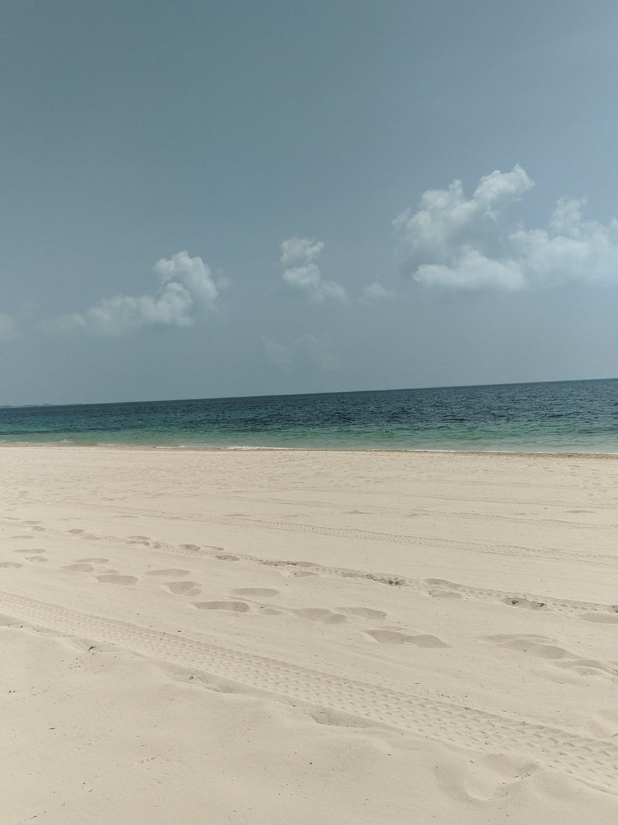 QueenShipley0's tweet photo. Not a horrible way to spend a hump day 😁💚 #Cancun https://t.co/XLWdzio3wS