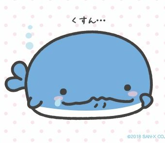 まいごのこくじら まいごのこくじら